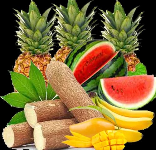 Fruits and Vegetables